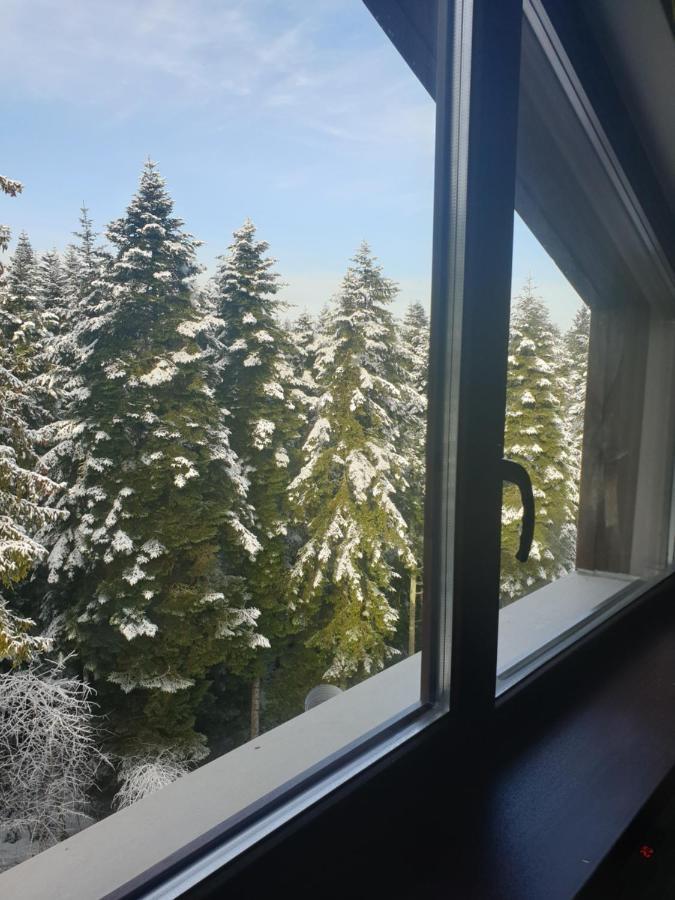 Borovets Forest View 外观 照片