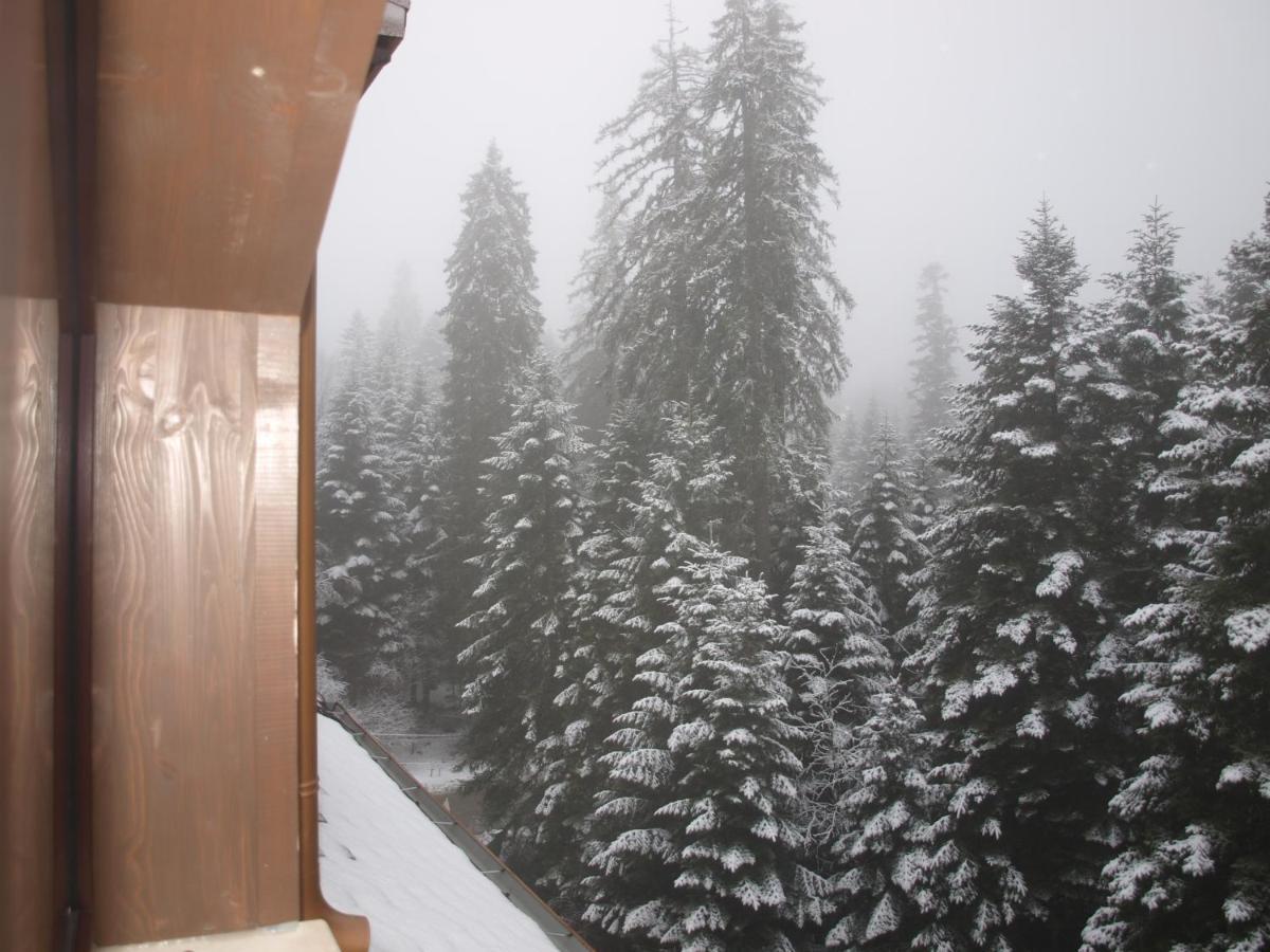 Borovets Forest View 外观 照片