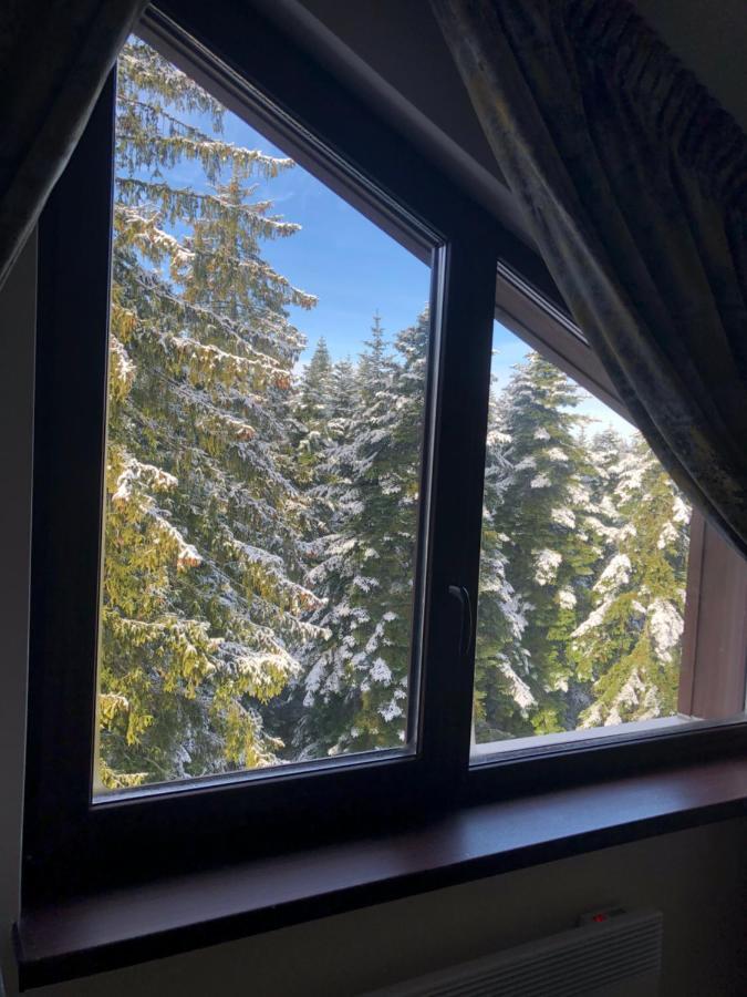 Borovets Forest View 外观 照片