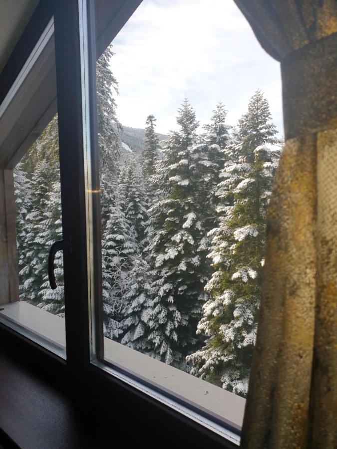 Borovets Forest View 外观 照片